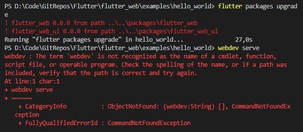 Flutter Web command error