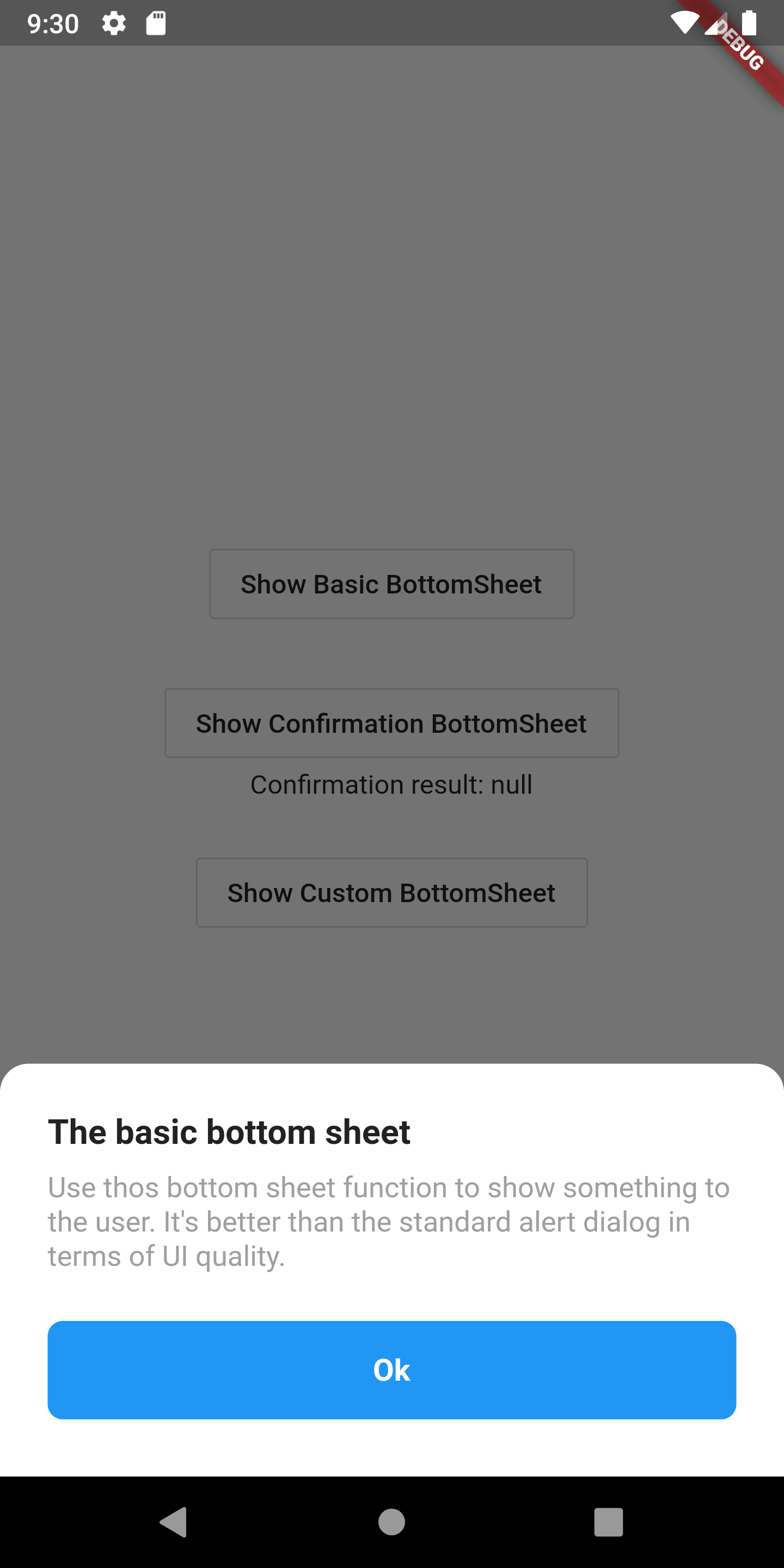 Basic Bottom Sheet in Flutter